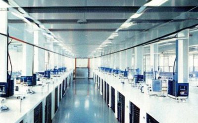 A Beginner’s Guide to Understanding the Science Behind Cloning